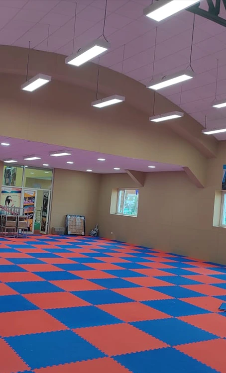 Indoor Sports